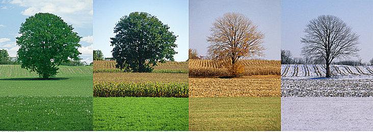 V社实施Steam新规 禁止所有强迫玩家看广告的游戏