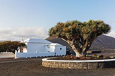 《真女神转生5》公布角色篇及恶魔篇CM 11月11日登陆Switch